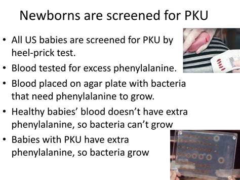 Ppt Phenylketonuria Pku Screening Powerpoint Presentation Free