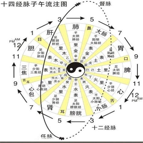 人體三節律和五運六氣中醫模型的耦合性 每日頭條