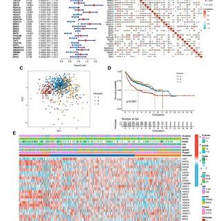 Histone acetylation patterns and their biological characteristics in ... 