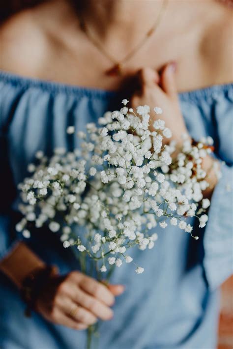 Unveiling The Meaning And Symbolism Of Baby S Breath Flowers