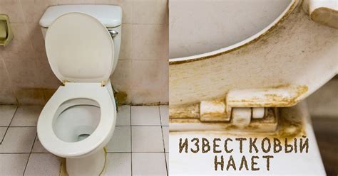 Средство для чистки унитаза