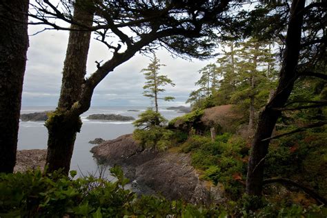 9 Best Hiking Trails on Vancouver Island, BC