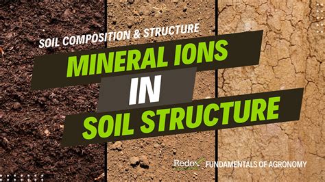 2.1 SOIL COMPOSITION & STRUCTURE - Video 2 - Mineral Ions ...