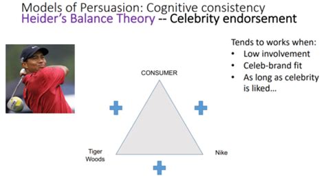 PSYU1102 Social Psychology Flashcards Quizlet