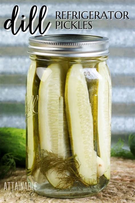 Easy Refrigerator Dill Pickles (No Canning) - Attainable Sustainable®