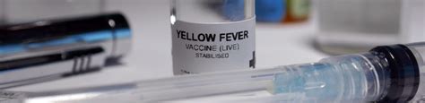 Yellow Fever Vaccines | Carina Medical and Specialist Centre