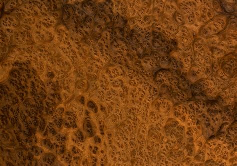 Шпон корень американского ореха 80 фото