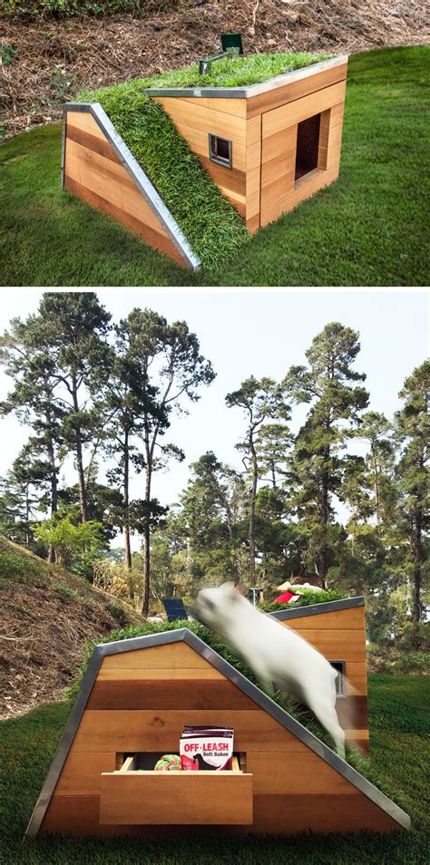 Studio Schicketanz Have Designed A Modern Dog House With A Green Roof ...