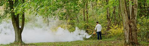 Mosquito Foggers | The Fountainhead Group