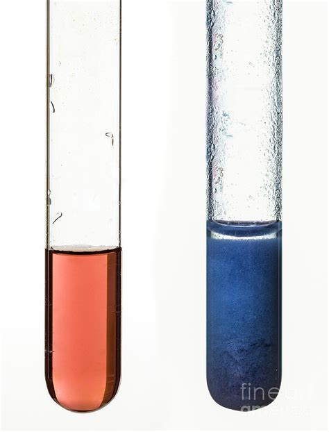 Cobalt Hydroxide Precipitate 1 By Science Photo Library