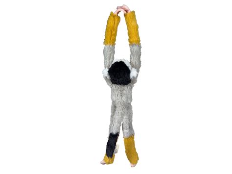 Hanging Squirrel Monkey 33cm – Chester Zoo Enterprises Ltd