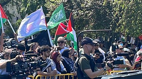 Hamas flag spotted at anti-Israel rally near DNC in Chicago | Fox News