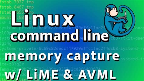 Linux Memory Forensics Memory Capture With Lime And Avml Youtube