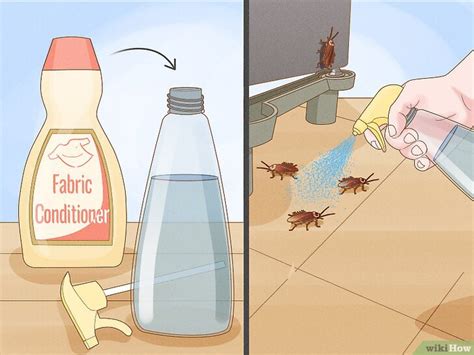 How To Get Rid Of Roaches Overnight 10 Simple Diy Remedies