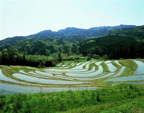 Oyama Senmaida, Kamogawa, Chiba, Japan by Mixa