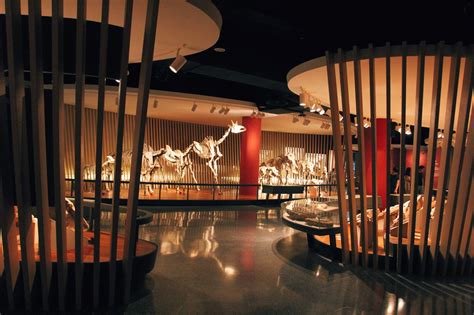 Shanghai Natural History Museum - China Tours @WestChinaGo