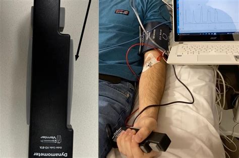 Shedding New Light on the Circadian Clock - Neuroscience News 