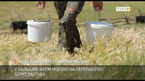 Куда девать крестьянское молоко - YouTube