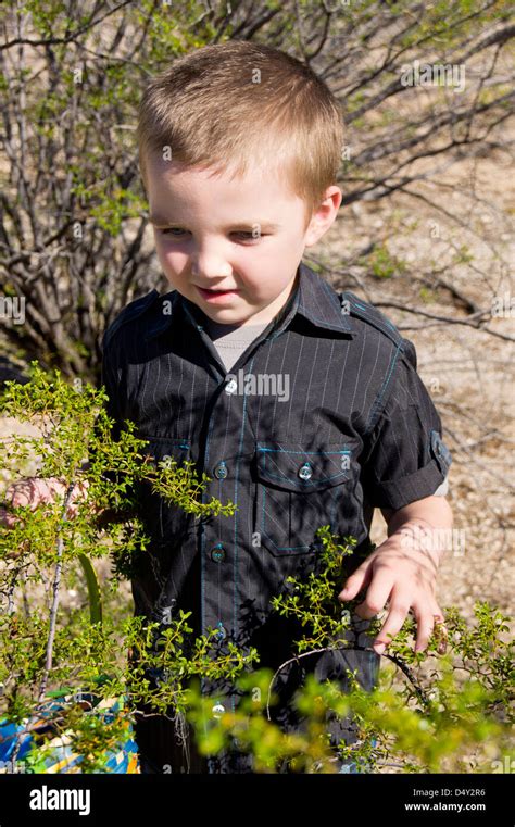 Un niño de cinco años autista toque suavemente las ramas del árbol del