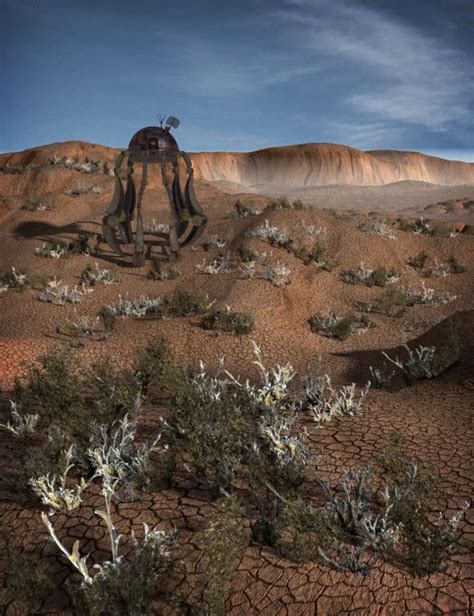 Badlands Plants | Daz 3D