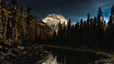 Céu Estrelado Noturno Lago Montanha Floresta Papel De Parede Para