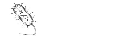 Module #2 Diagram | Quizlet 