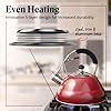 Willow Everett Whistling Kettle Litre Stovetop Kettles W Mirror