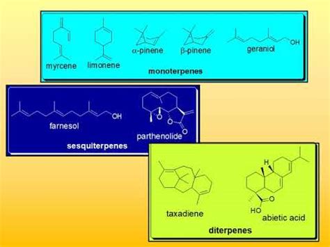 31 Terpenes And Terpenoids YouTube