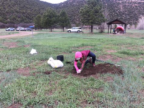Volunteers help with native plant restoration along Dolores River