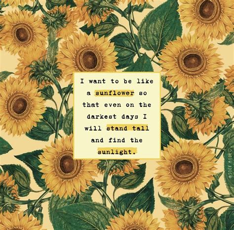 Inspirational Sunflower Quote