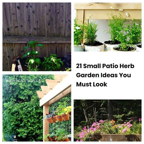 21 Small Patio Herb Garden Ideas You Must Look | SharonSable