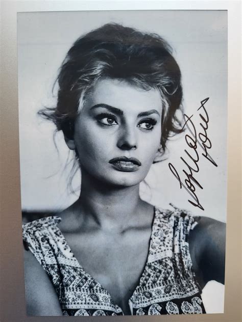 Sophia Loren Sex Symbol 1950s Autograph Signed Catawiki