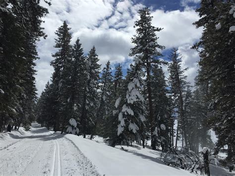 The trail at Ponderosa State Park, near McCall, Idaho. : r/xcountryskiing