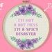 I M Not A Hot Mess Im A Spicy Disaster Cross Stitch Pattern Funny Quote Embroidery Funny Mom
