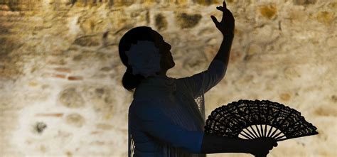 Noche flamenca tapas y visita panorámica de noche en Sevilla