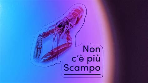 NON C E PIU SCAMPO Fridge Magnets Set X 3