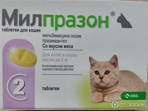 Антигельминтные препараты для кошек | широкого спектра, отзывы, лучшие ...