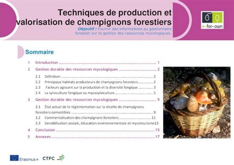 PDF Techniques De Production Et Valorisation De Eforown Ctfc Cat