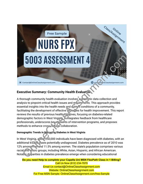 Nurs Fpx Assessment Executive Summary Community Health