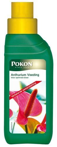 Pokon Anthurium Voeding 250ml Tuincentrum Bull