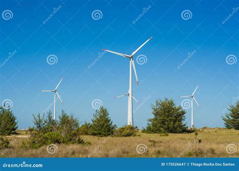 Great Concept Of Renewable Sustainable Energy Wind Field With Wind