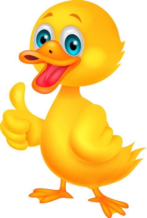 Duck Transparent Png Image Free Free Png Images Vector Psd Clipart Images