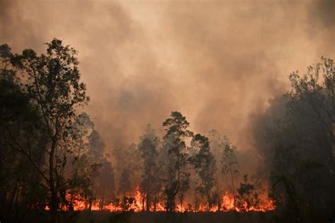 Le Foto Degli Incendi In Australia Il Post