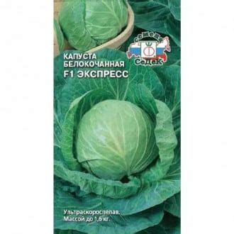 Купить семена капусты белокочанной с доставкой почтой в Минске ...