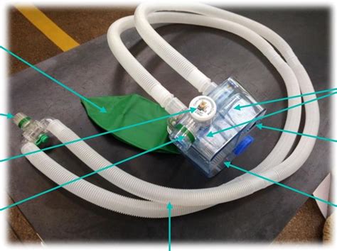 Diagram of Breathing System Components: Circle | Quizlet