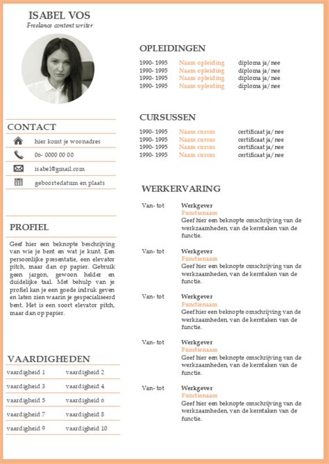 Cv Voorbeeld Gratis