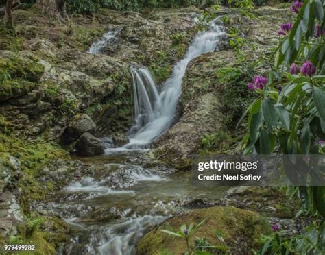 490 Mourne Mountains Stock Photos, High-Res Pictures, and Images ...