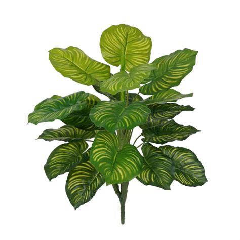 CALATHEA panaché artificiel 40 cm Plantes vertes et colorées