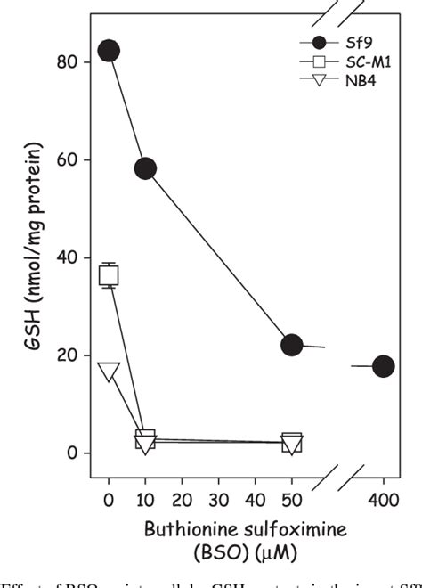 Figure 4 From Multiple Factors Conferring High Radioresistance In