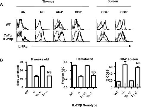 Selective Availability Of Il 2 Is A Major Determinant Controlling The